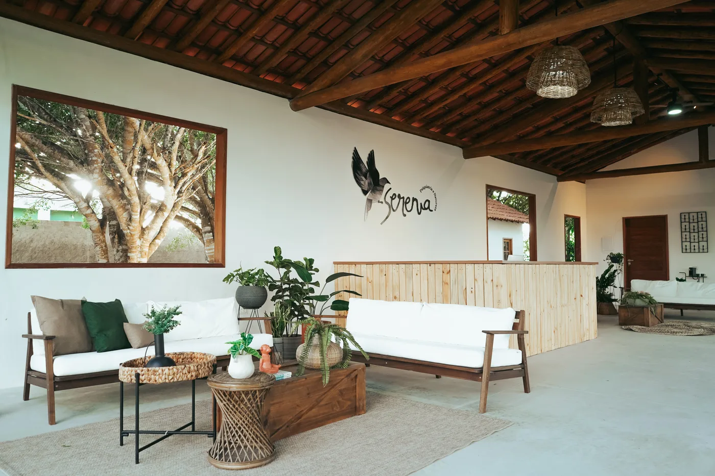 Ambiente terapêutico da Serenia